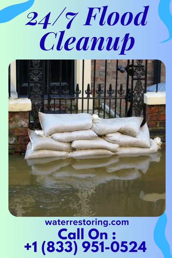 24/7 Flood Cleanup in Lumber City, GA