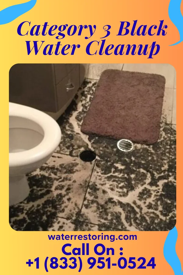 Category 3 Black Water Cleanup in Lumber City, GA