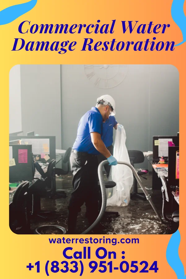 Commercial Water Damage Restoration in Lumber City, GA