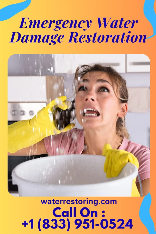 Emergency Water Damage Restoration in Lumber City, GA